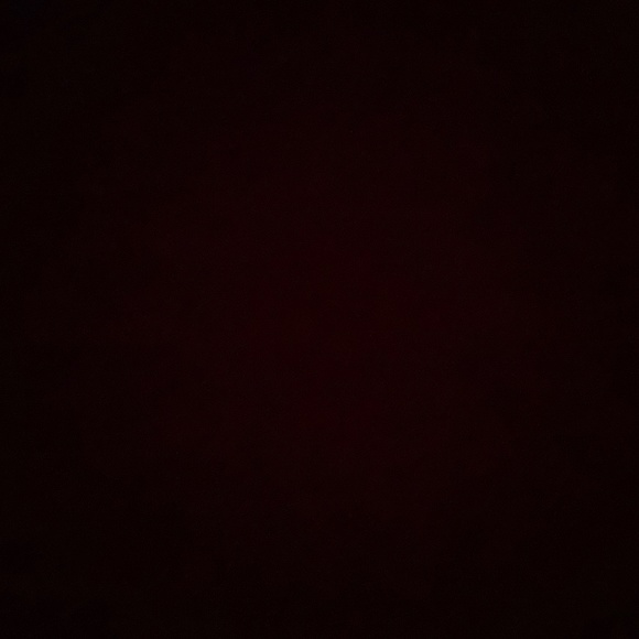 Meet your Posher, Sofia - Picture 1 of 1